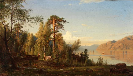Fjord Scene